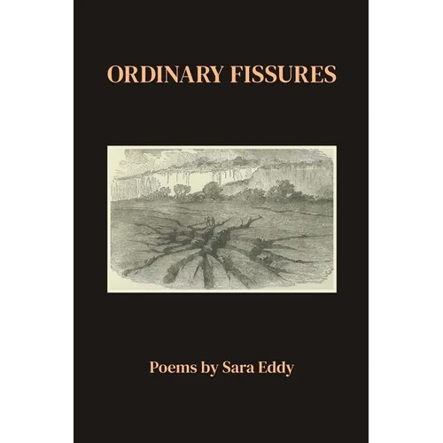 Ordinary Fissures