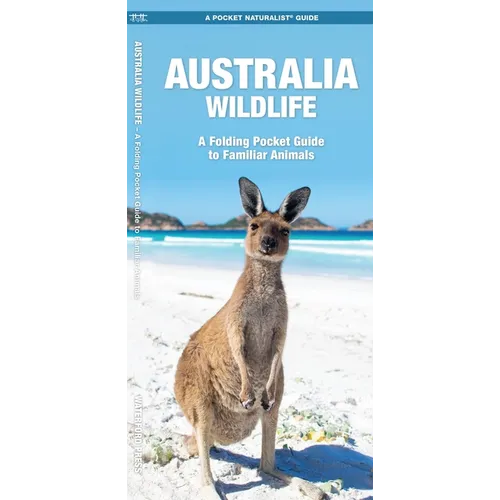 Australia Wildlife