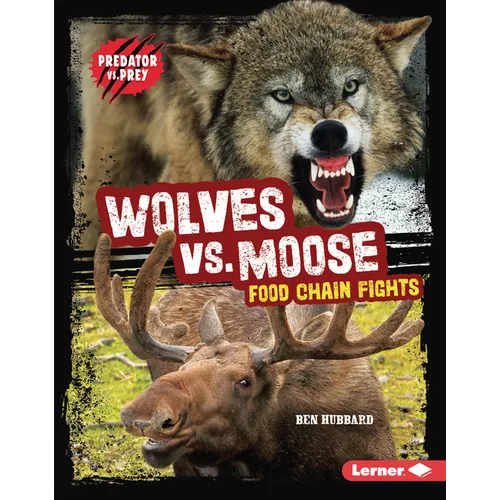 Wolves vs. Moose: Food Chain Fights
