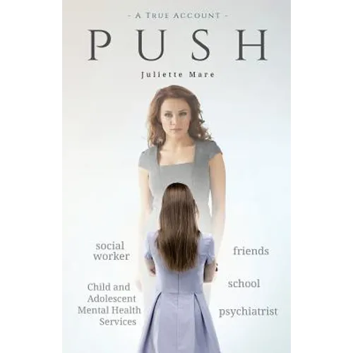 push: Push is an account of denial, desperation, disappointment - and finally, determination. It's the way I got help with my mentally ill child.