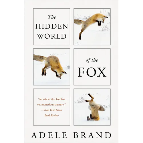 The Hidden World of the Fox