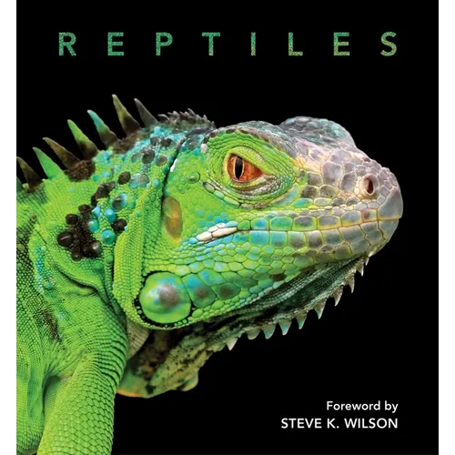 Reptiles