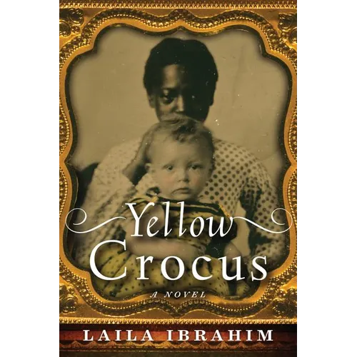 Yellow Crocus