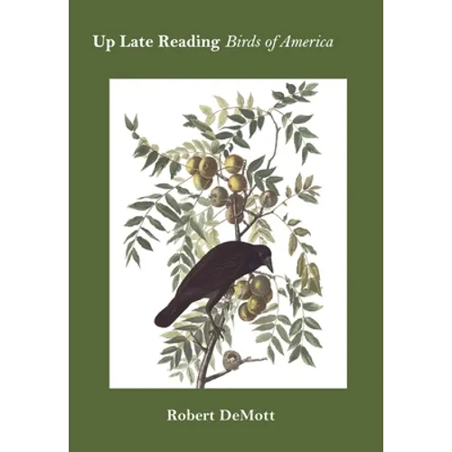 Up Late Reading Birds of America: Prose Poems