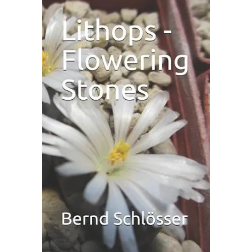 Lithops - Flowering Stones