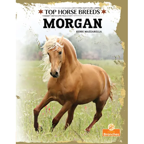 Morgan