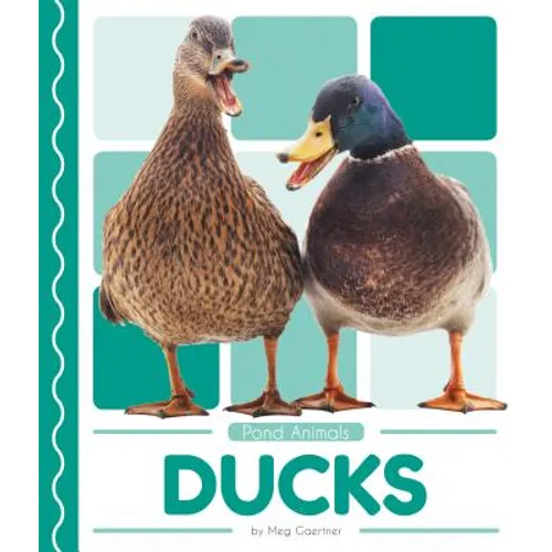 Ducks
