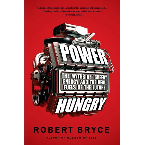 Power Hungry: The Myths of "Green" Energy and the Real Fuels of the Future
