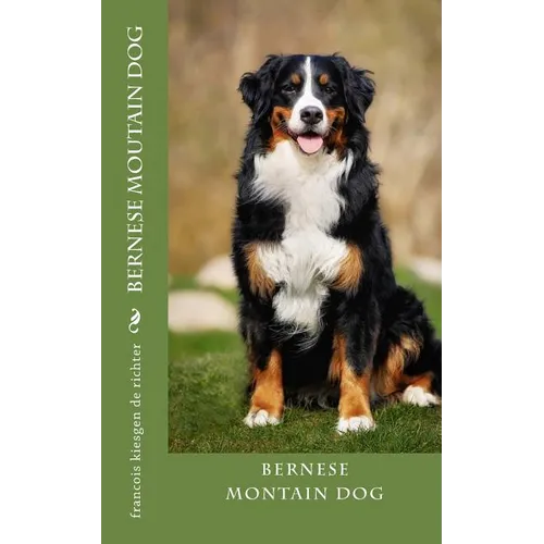 bernese moutain dog