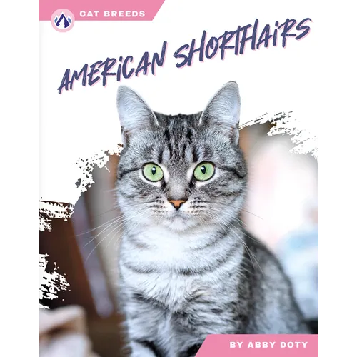 American Shorthairs
