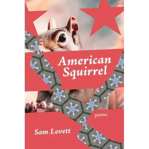 American Squirrel