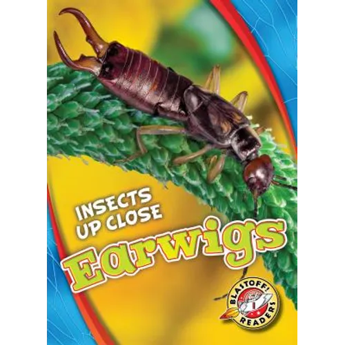 Earwigs