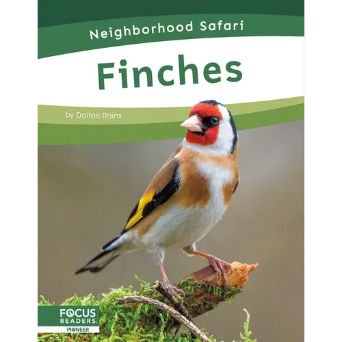 Finches