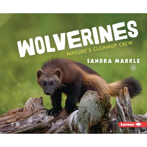 Wolverines: Nature's Cleanup Crew