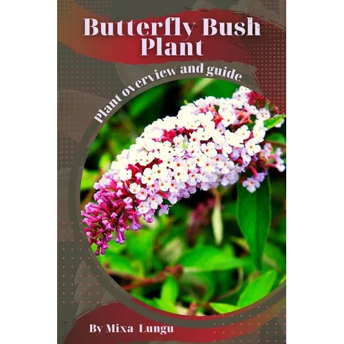 Butterfly Bush Plant: Plant overview and guide