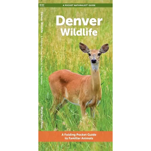Denver Wildlife