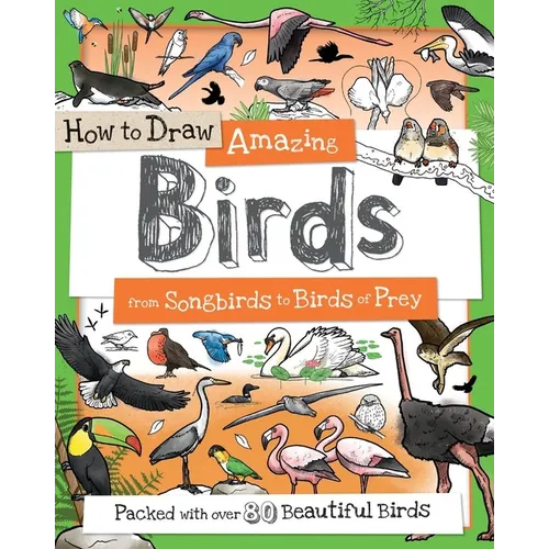 How to Draw Amazing Birds: From Songbirds to Birds of Prey