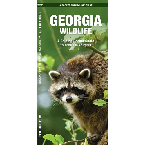 Georgia Wildlife