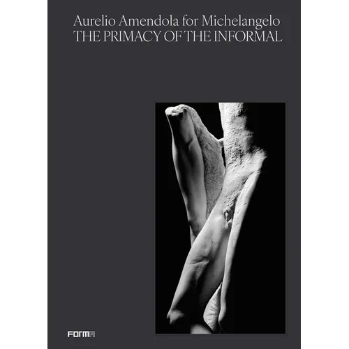 Aurelio Amendola for Michelangelo: The Primacy of the Informal