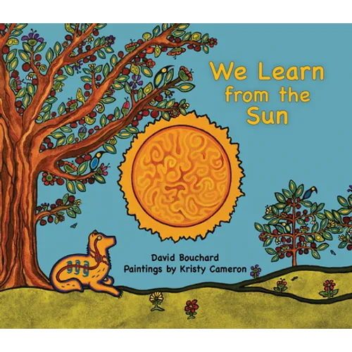 We Learn from the Sun