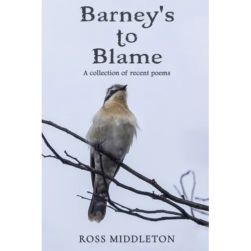 Barney's to blame - Paperback