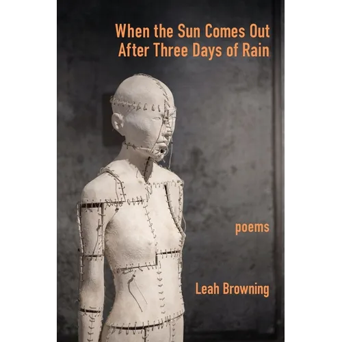 When the Sun Comes Out After Three Days of Rain