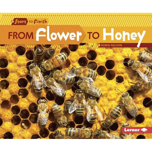From Flower to Honey