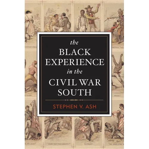 The Black Experience in the Civil War South