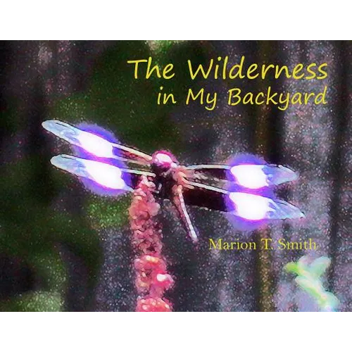 The Wilderness in My Backyard
