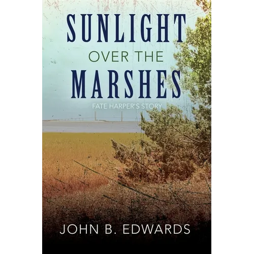 Sunlight Over the Marshes