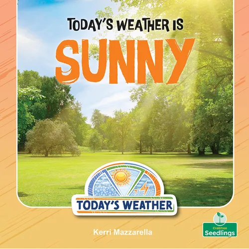 Today's Weather Is Sunny