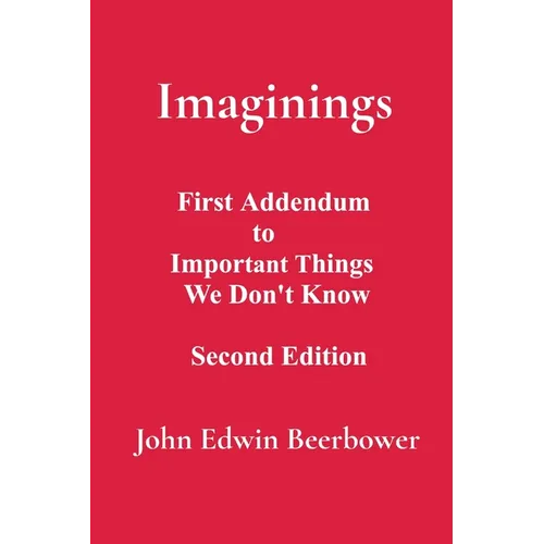 Imaginings: First Addendum to Important Things We Don't Know