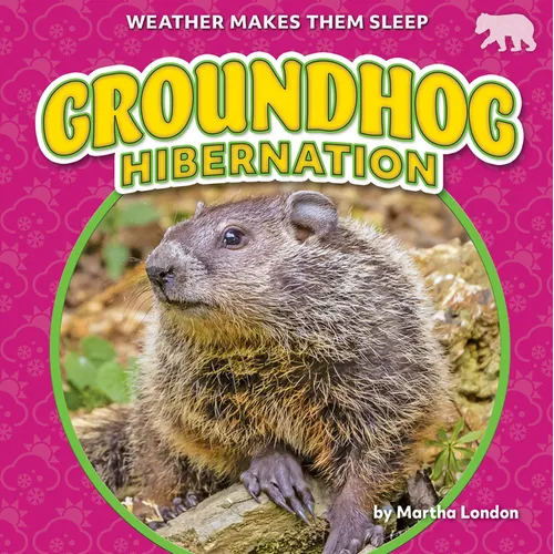 Groundhog Hibernation