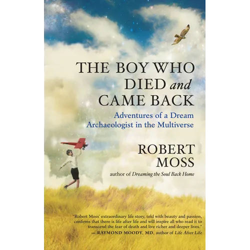 The Boy Who Died and Came Back: Adventures of a Dream Archaeologist in the Multiverse