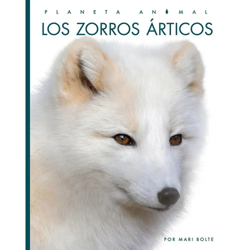 Los Zorros Articos