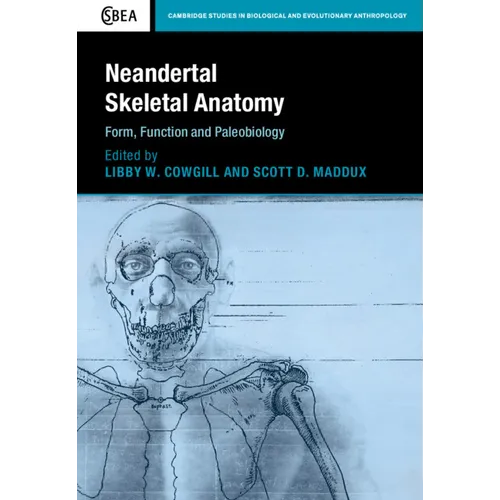 Neandertal Skeletal Anatomy
