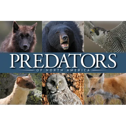 Predators of North America
