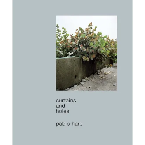 Pablo Hare: Curtains and Holes