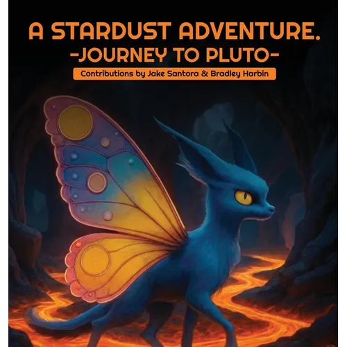 A Stardust Adventure: Journey to Pluto