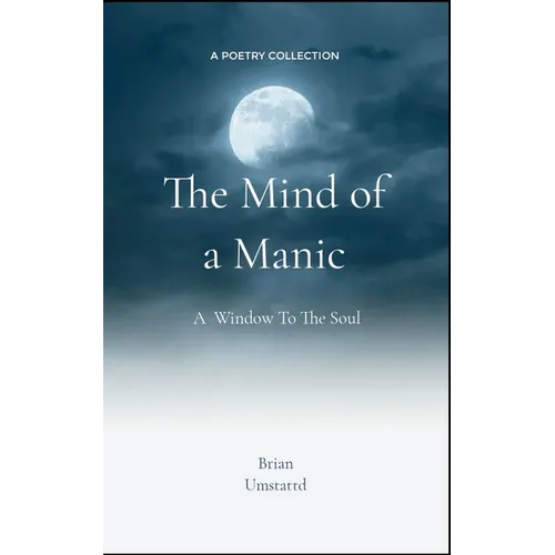 The Mind of a Manic A Window To The Soul