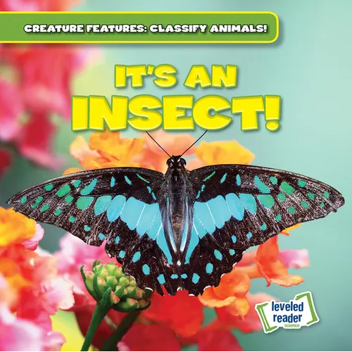It's an Insect!