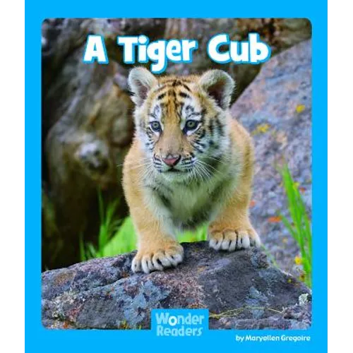 A Tiger Cub