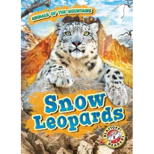 Snow Leopards