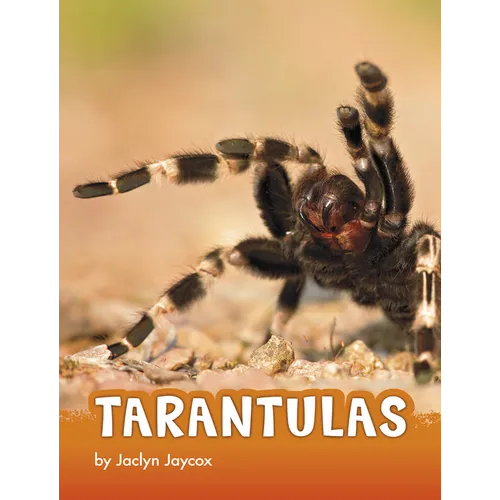 Tarantulas