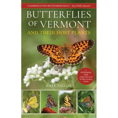 Butterflies of Vermont