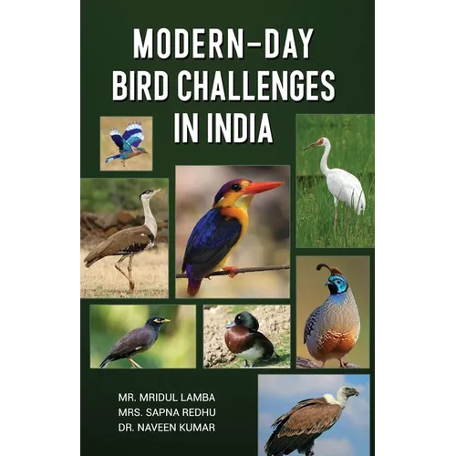 Modern-Day Bird Challenges in India