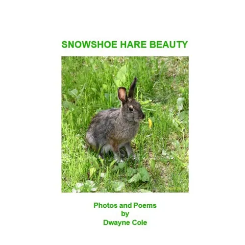 Snowshoe Hare Beauty