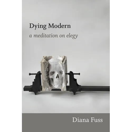 Dying Modern: A Meditation on Elegy