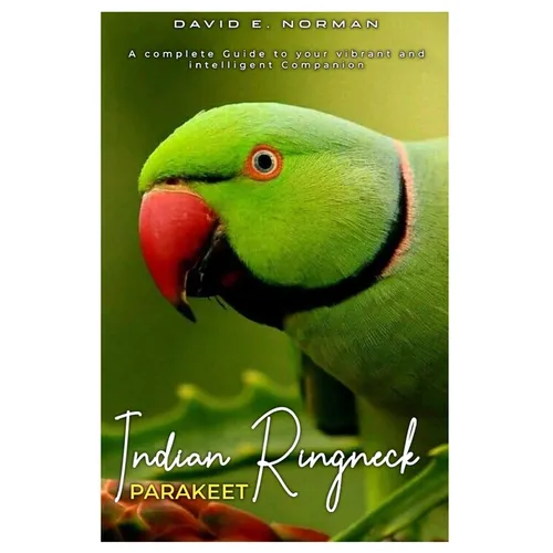 Indian Ringneck Parakeet: A comprehensive Guide to your vibrant and intelligent companion