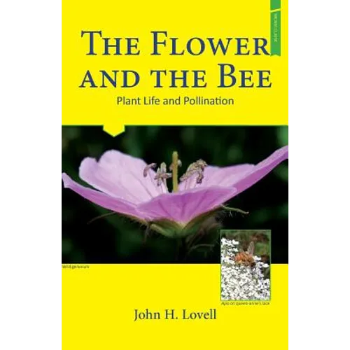 The Flower and The Bee